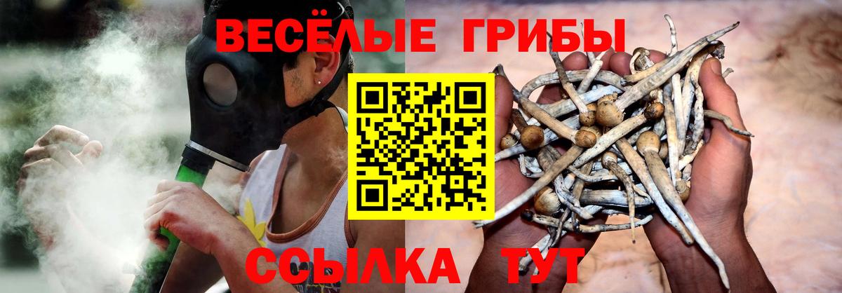 Псилоцибиновые грибы мухоморы Киров